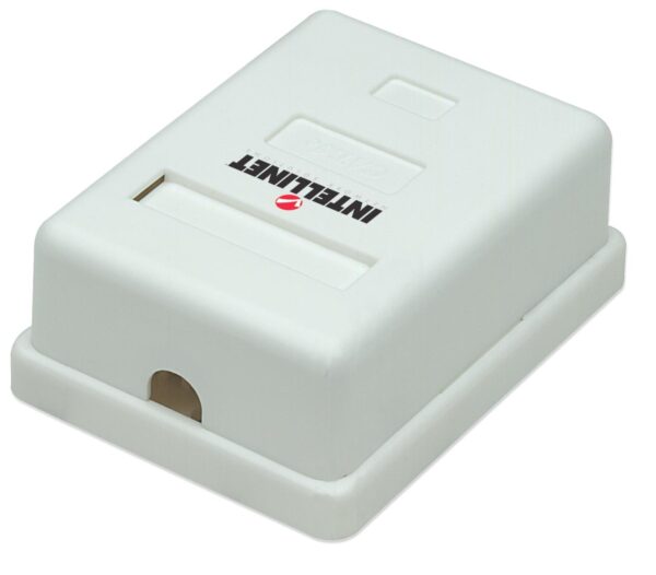 Presa a Muro con Frutto RJ45 Cat. 5E UTP Beige - immagine 5