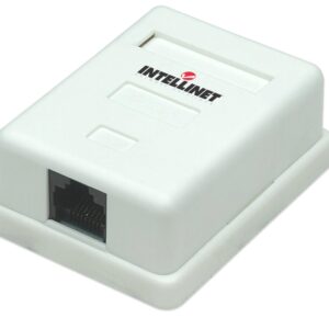 Presa a Muro con Frutto RJ45 Cat. 5E UTP Beige
