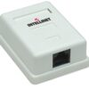 Presa a Muro con Frutto RJ45 Cat. 5E UTP Beige - immagine 3
