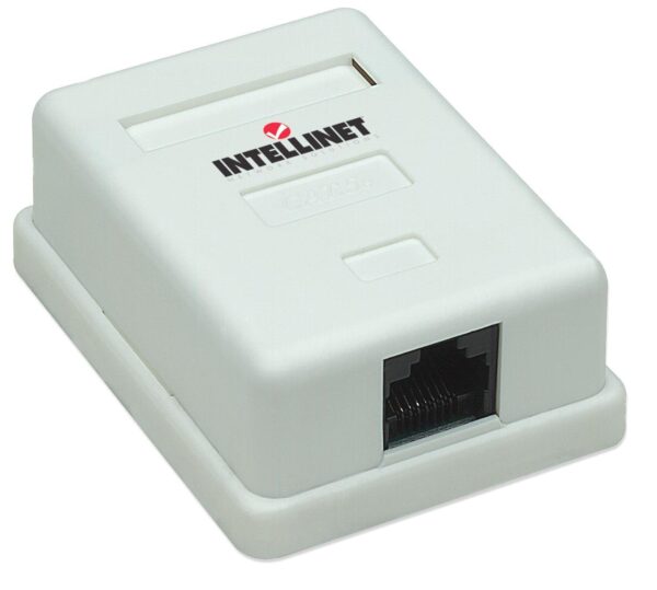 Presa a Muro con Frutto RJ45 Cat. 5E UTP Beige - immagine 3
