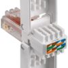 Plug Cat.6 RJ45 Toolless con Copriconnettore - immagine 2