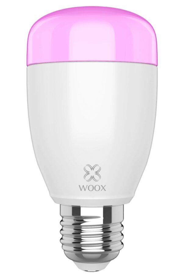 Lampadina LED E27 500lm Smart Controllo Vocale Alexa, R5085 Diamond - immagine 2