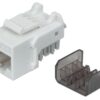 Frutto Keystone RJ45 Cat6A UTP 10 Gigabit Bianco