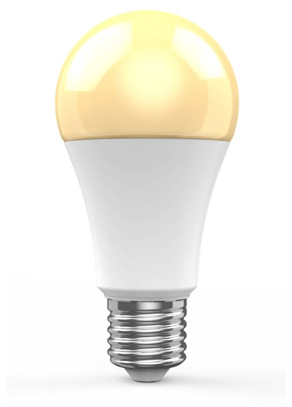 Lampadina LED E27 806lm WiFi Controllo Vocale Alexa, R9074 Classe F - immagine 4