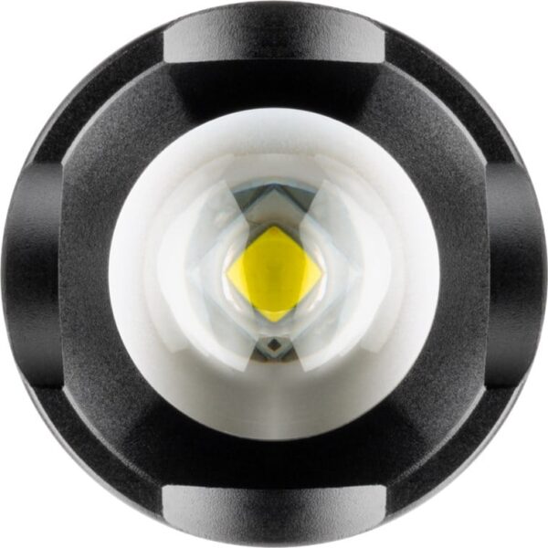 Torcia LED ad Alta Luminosità 300lm IPX4 - immagine 4