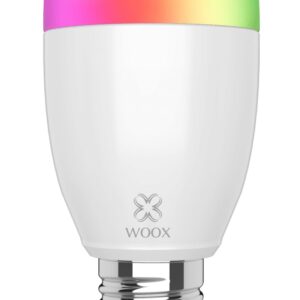 Lampadina LED E27 500lm Smart Controllo Vocale Alexa, R5085 Diamond