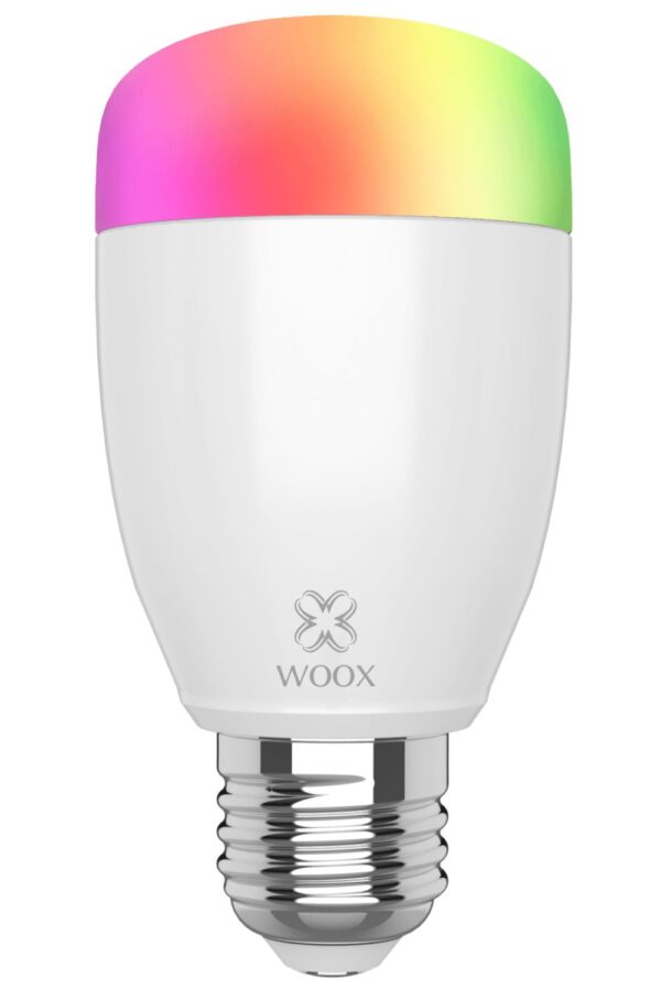 Lampadina LED E27 500lm Smart Controllo Vocale Alexa, R5085 Diamond