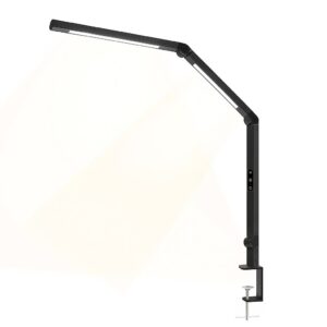 Lampada LED a Doppia Sorgente Luminosa con Braccio Regolabile e Attacco a Morsetto