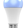 Lampadina LED E27 806lm WiFi Controllo Vocale Alexa, R9074 Classe F - immagine 6