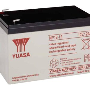Batteria Piombo-Acido per UPS 12 V 12 Ah, NP12-12