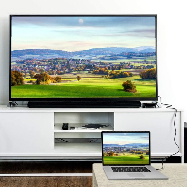 Cavo Convertitore da DisplayPort 1.2 a HDMI 4K 3 metri - immagine 10