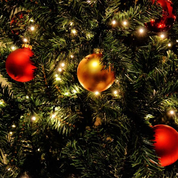 Catena Luminosa 400 Luci LED IP44 Bianco Caldo per Albero con Anello - immagine 8
