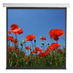 Schermo di Proiezione Motorizzato 112'' 200x200 PSA-112