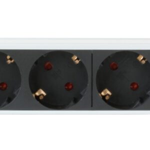 Multipresa 4 Posti da Rack 10'' Spina Schuko Angolata 1U Installazione Posteriore