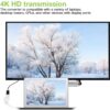 Adattatore Passivo DisplayPort Maschio a HDMI Femmina 4K 30Hz - immagine 4
