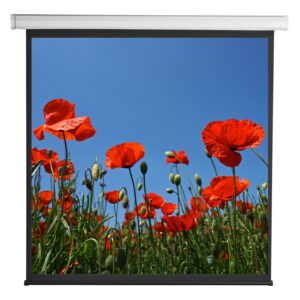 Schermo di Proiezione Motorizzato 112'' 200x200 PSA-112-2