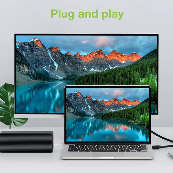Cavo Monitor DisplayPort a DVI 2 m - immagine 6