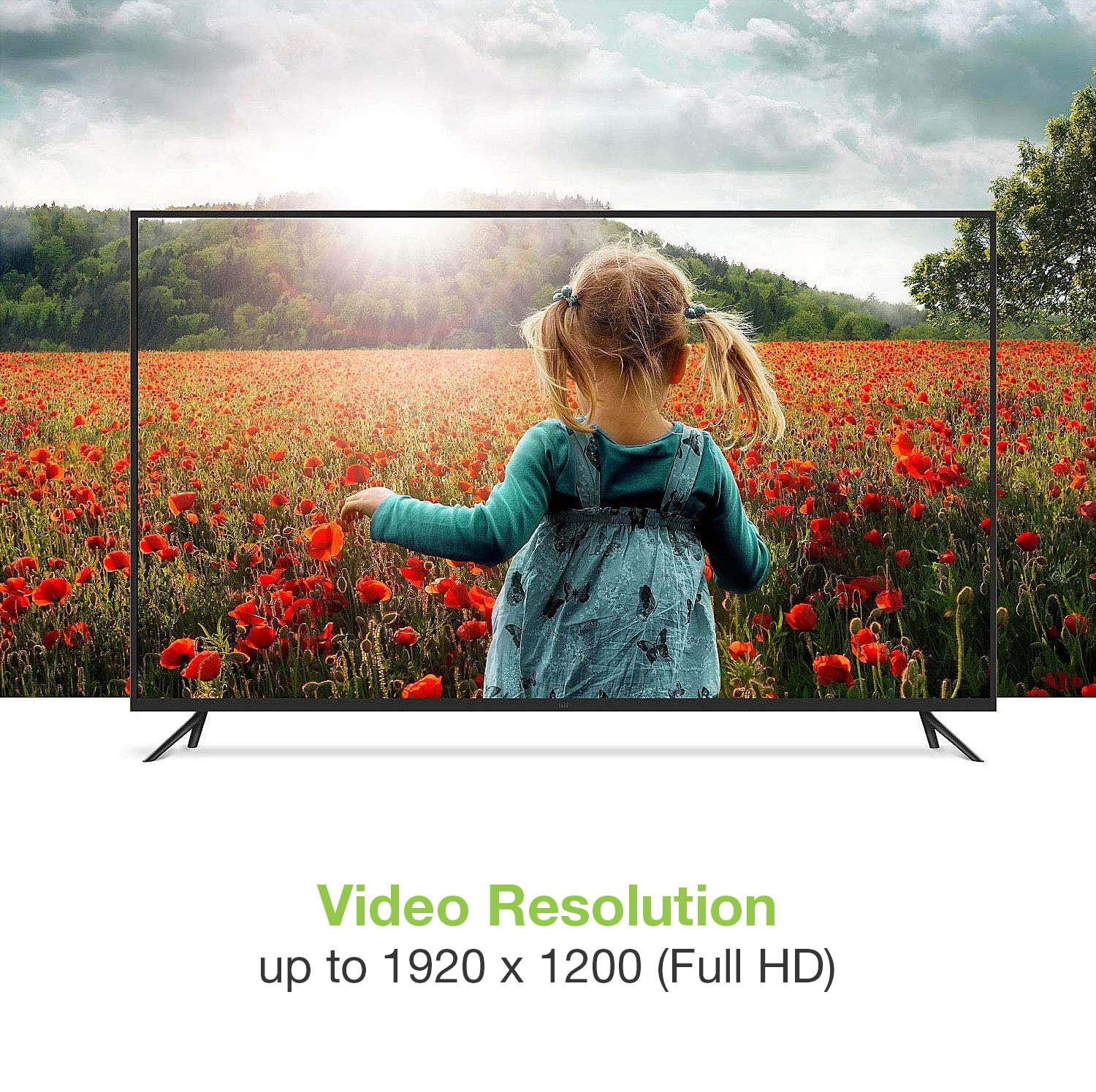 Convertitore da DisplayPort v1.2 a VGA 15 cm - immagine 9