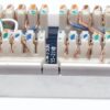 Box per connessioni di rete Cat5e FTP