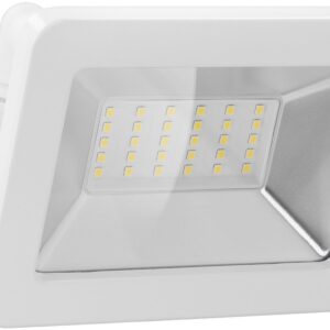Faretto LED da Esterno IP65 30W Bianco