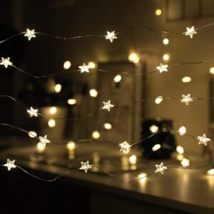 20 Luci LED a Stella con Filo d'argento IP20 Bianco Caldo a Batteria con Timer