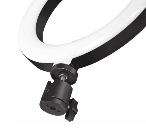 Luce LED Anello 20cm per 1/4'' Regolazione Luminosità Stand Smartphone - immagine 8