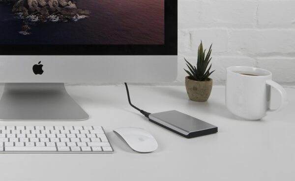 Disco rigido portatile da 1 TB Argento - immagine 5