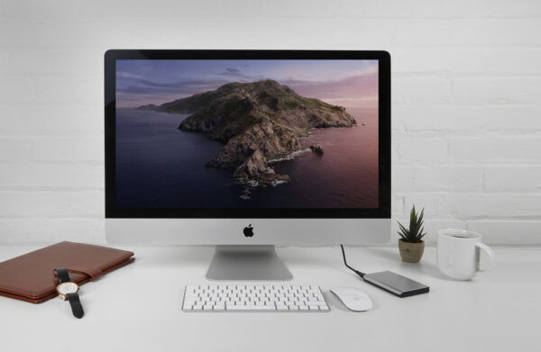 Disco rigido portatile da 1 TB Argento - immagine 8