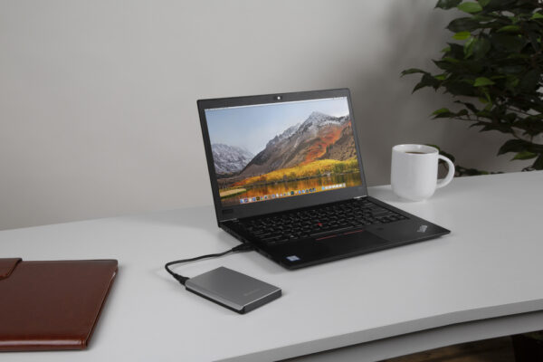 Disco rigido portatile da 1 TB Argento - immagine 7