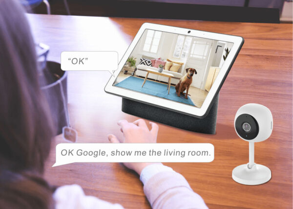 Smart Camera WiFi Full HD 2 MP Controllo Vocale Alexa Google, R4114 - immagine 6
