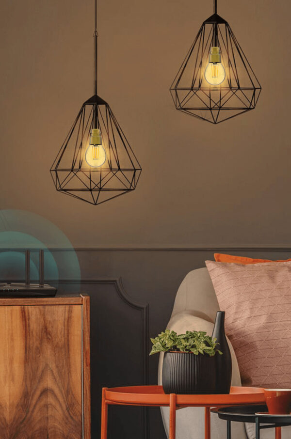 Lampadina LED E27 con Filamento Smart Controllo Vocale Alexa F, R9078 - immagine 6