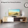 Supporto Universale da Tavolo per Monitor e TV da 23'' a 43'' - immagine 5