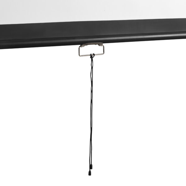 Schermo di Proiezione 118'' 213 x 213 cm, PSM-118-2 - immagine 2