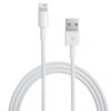Cavo da Lightning a USB 1m Bianco