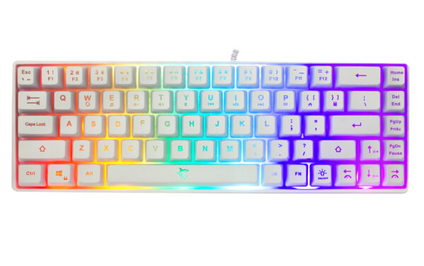 Tastiera Gaming USB 68 Tasti con Retroilluminazione LED RGB Bianco