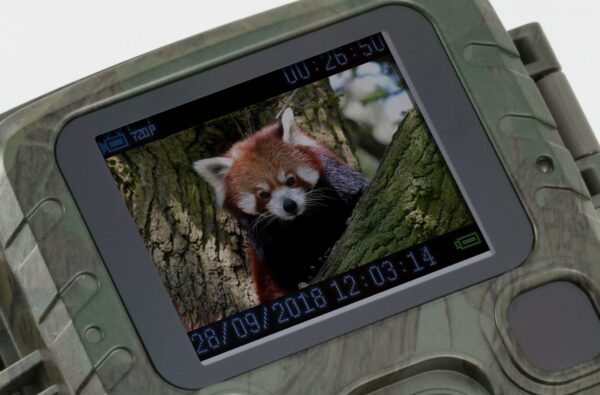 Camera Wild 1080P 12MP IP56 PIR IR 18m per Osservazione Fauna, TX-117 - immagine 3