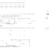 Kit 24 Frutti Cat.6A UTP 180° Keystone con Pinza Crimpatrice - immagine 3
