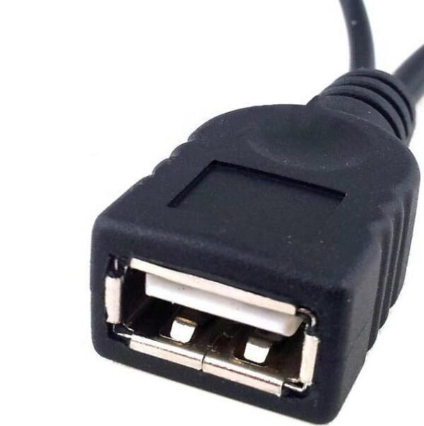 Cavo USB A F 2.0 OTG Micro USB M con Alimentazione USB, 30cm Nero - immagine 4