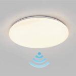 Plafoniera LED Intelligente WiFi Dimmerabile Soffitto Alexa, R5111