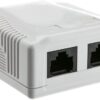 Presa a Muro con 2 Frutti RJ45 Cat.6 UTP Beige - immagine 2