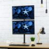 Supporto da Scrivania per 2 Monitor 13-27'' con Morsetto - immagine 10